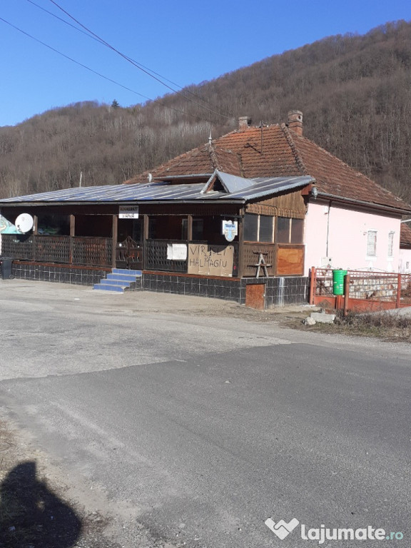 Casă și gradina