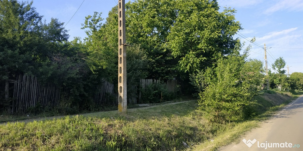 Teren intravilan 2000 mp in Gogosari, jud Giurgiu