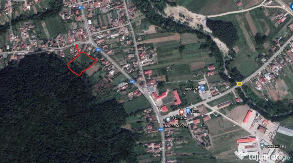 Teren 4800 mp, Buleta, Com Mihaesti, Valcea