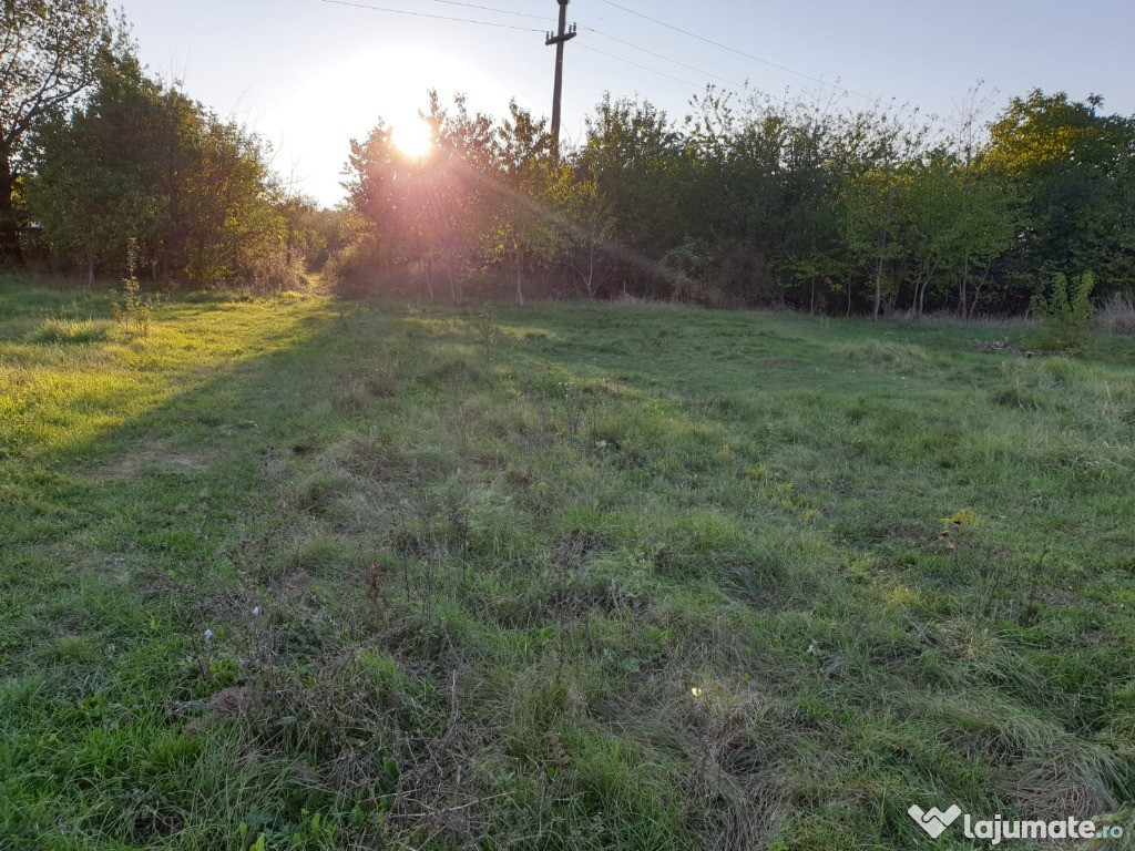 7 ha teren extravilan Rachitoasa, judetul Bacau