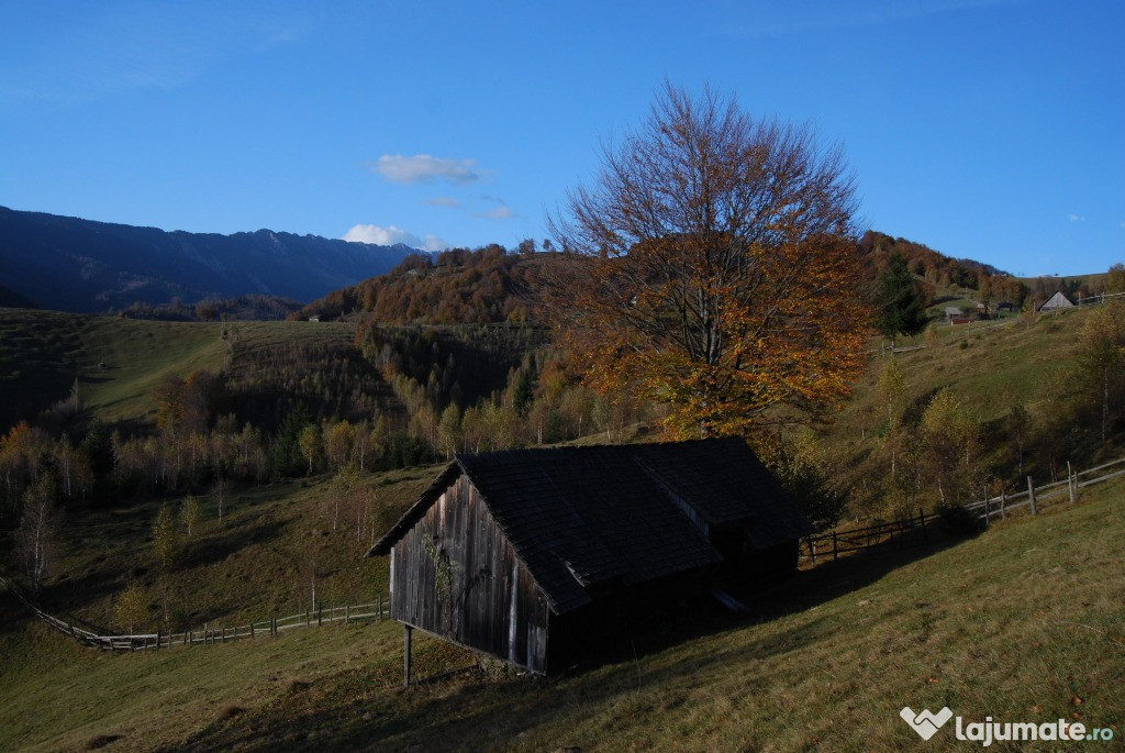 Teren zona Dambovicioara, vedere Piatra Craiului.