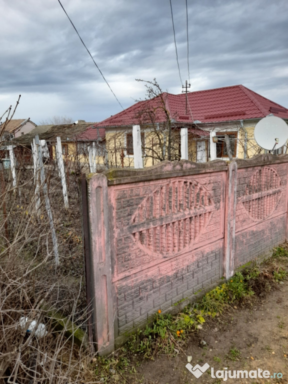 Casa în comuna goicea