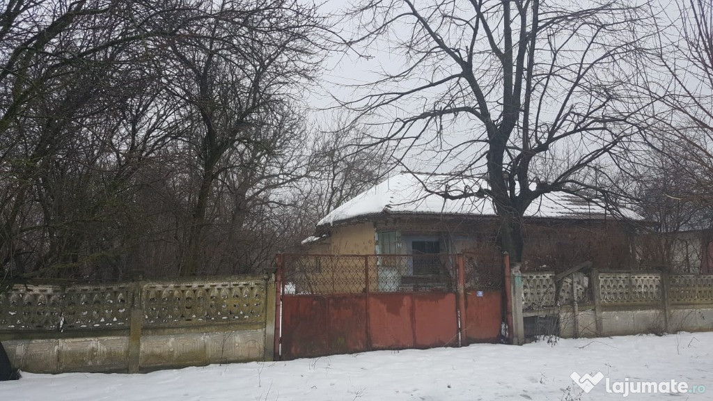 Casa + teren Letca Veche