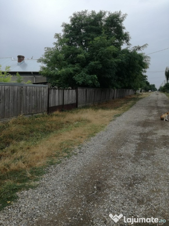 Persoana fizica-Casa, Gradina, Curte, Garaj Pogonele