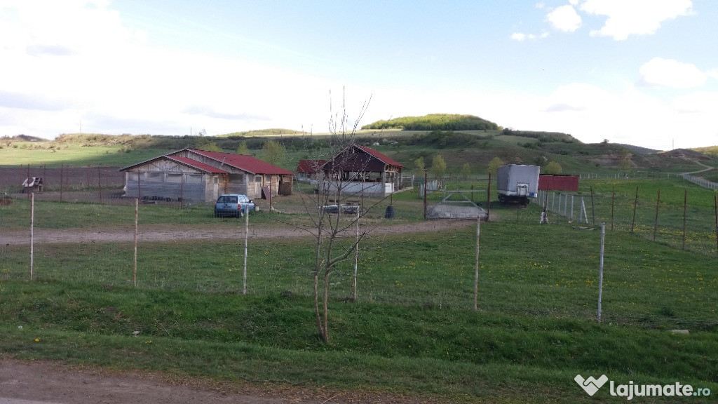 Ferma