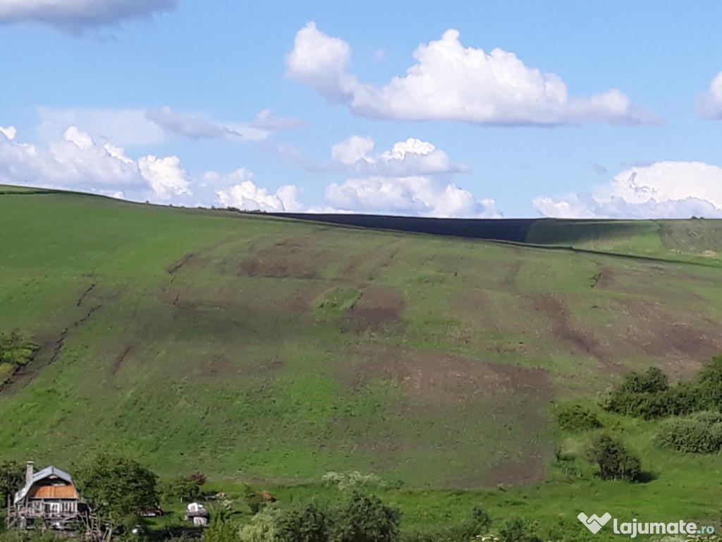 Teren agricol extravilan, 7700mp cu cf, actele finalizate !