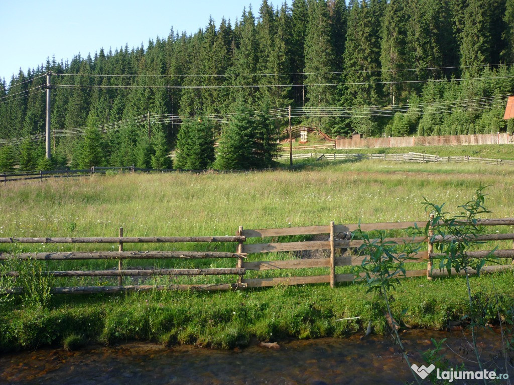 Teren intravilan in Poiana Horea 3000mp