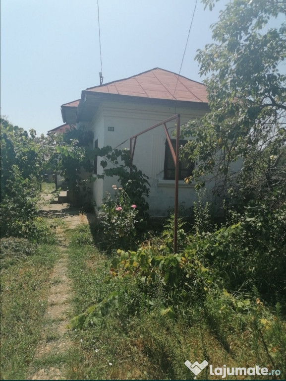 Casă și grădină