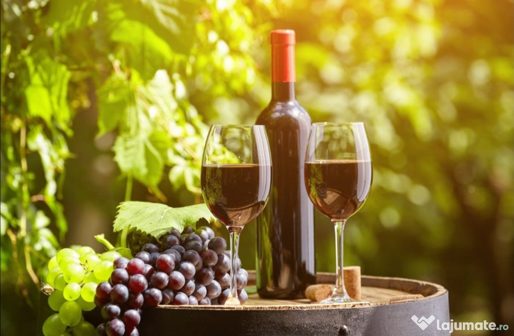 Vin din Vita Nobila - Cabernet Sauvignon