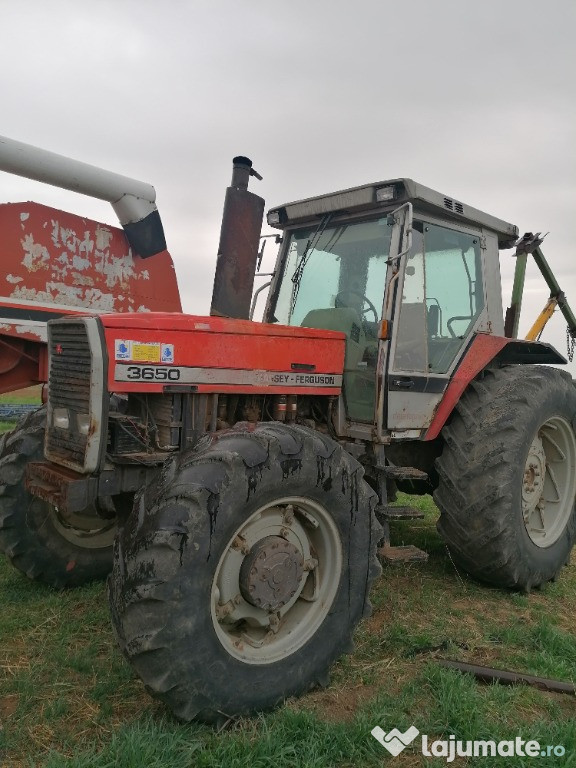 Massey Ferguson 3650