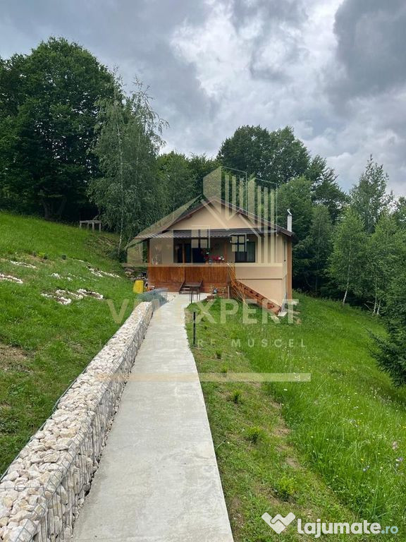 CASA 3 CAMERE, TEREN 3100 MP, ALBESTI DE MUSCEL, ARGES