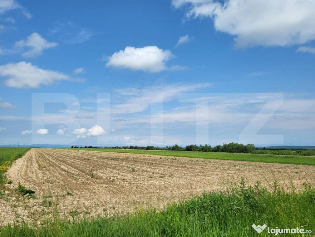 Teren intravilan, 7000mp, Sanmartin Rontau