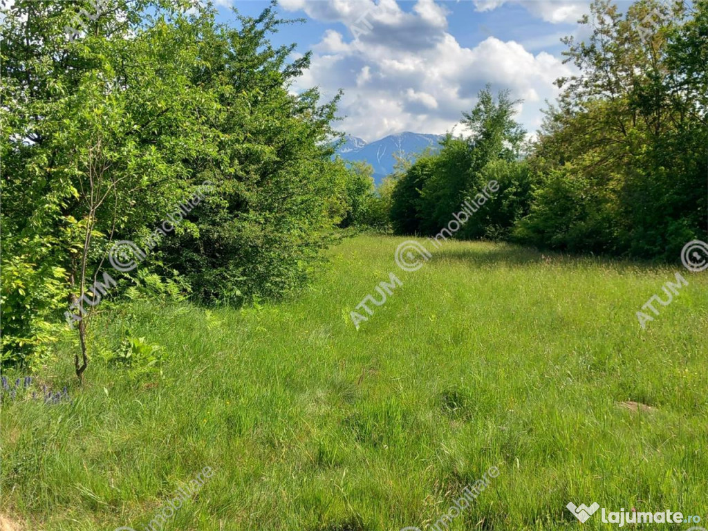 Teren intravilan 2000 mp de pe Valea Avrigului in Sibiu