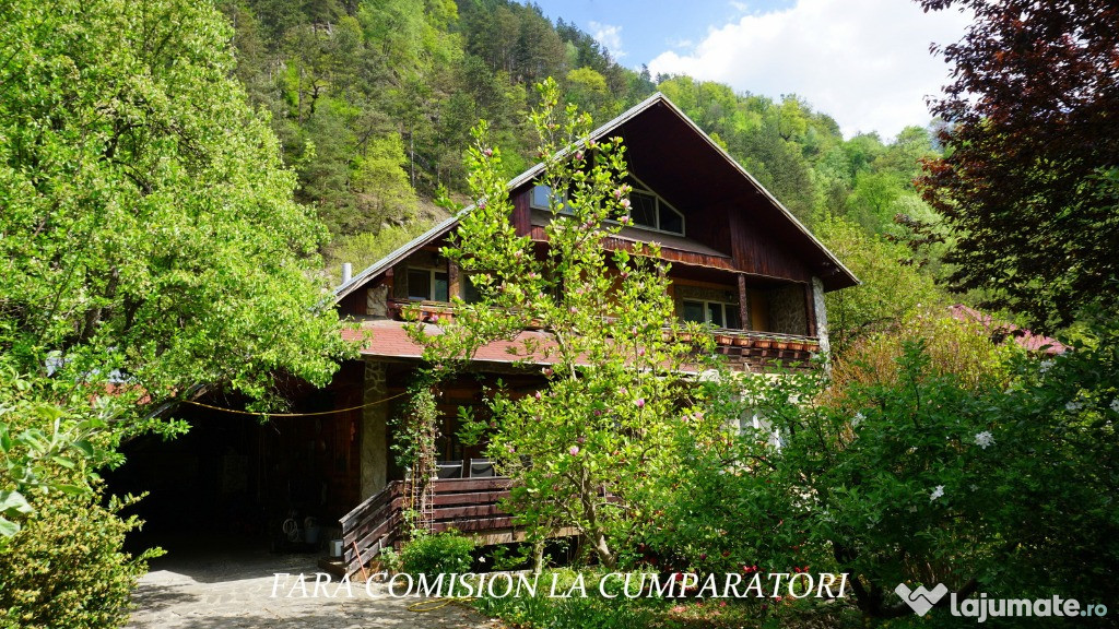 VILA PE VALEA LOTRULUI, CADRU NATURAL MINUNAT