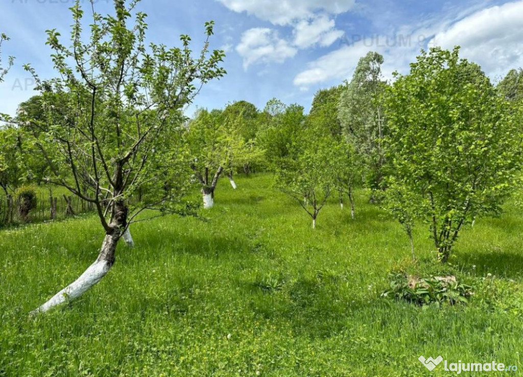 Teren de vânzare in Ocina de Jos