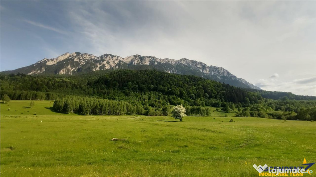 FILM! Terenul care iti dezvaluie privelisti mirifice catre P