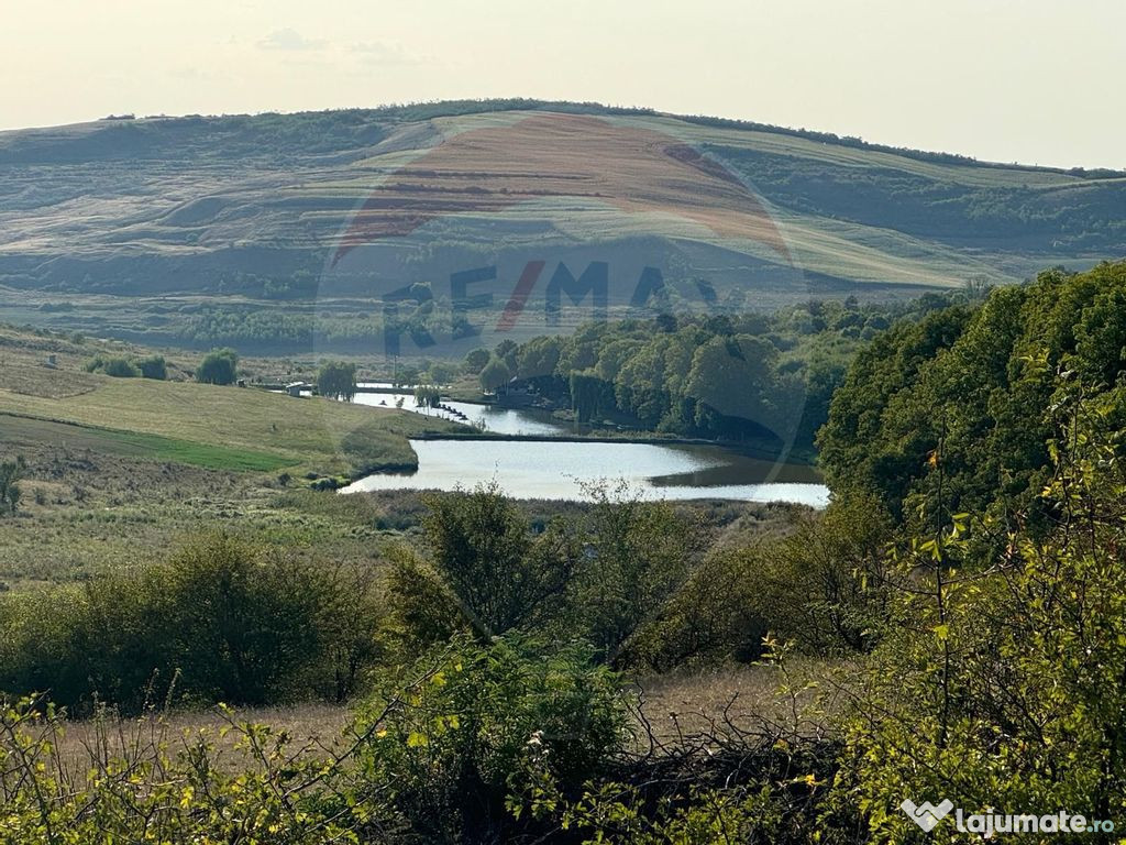 Teren cu pârâu | 50,000 mp | zona Caianu-Vama | la lizi...