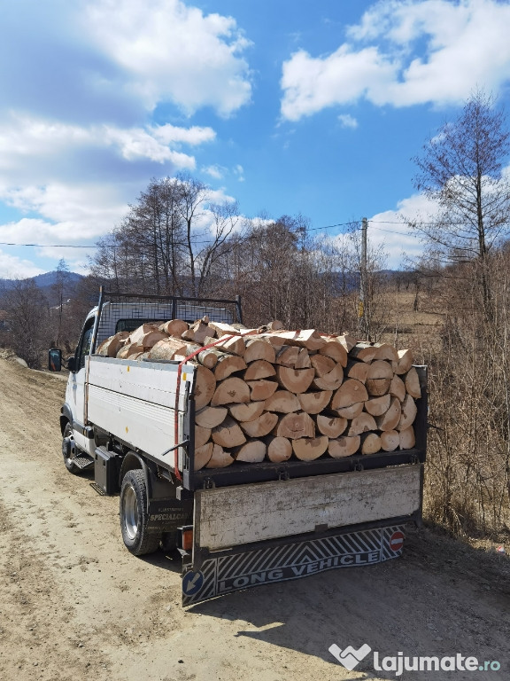 Lemn de foc de fag, cioate crăpate la dimensiune, cuburi.