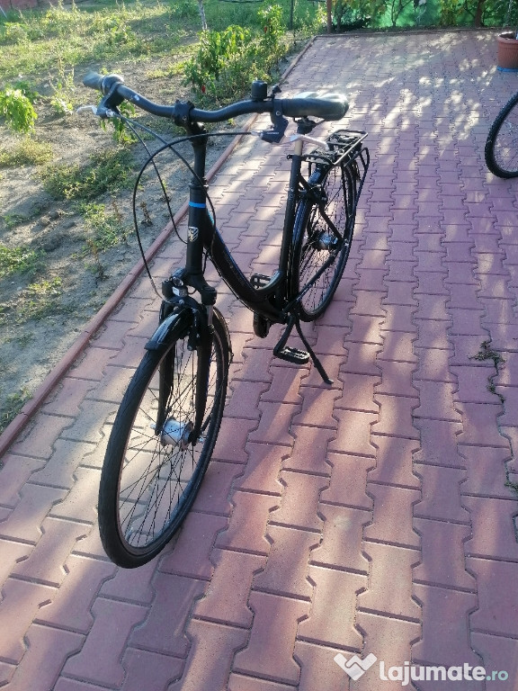 Biciclete Olanda