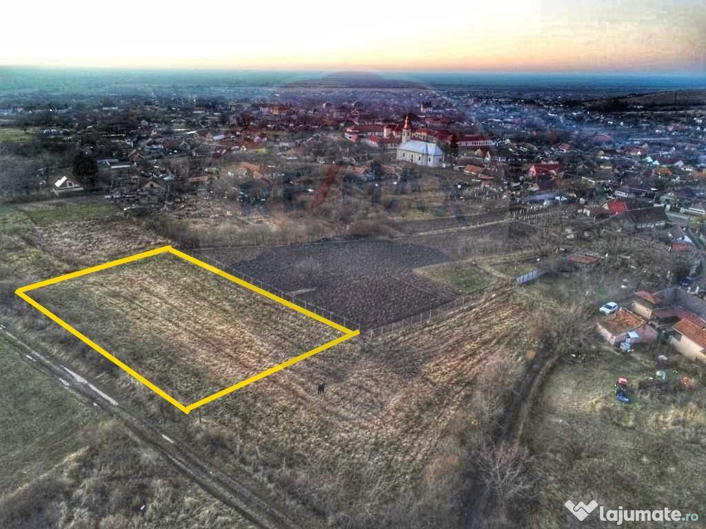 Teren de 2,199 mp cu potențial în Covăsânț, zona deal