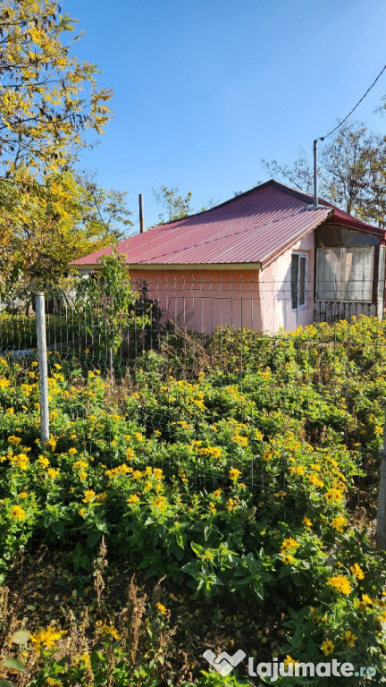 Casă Bătrânească Ianca, Braila