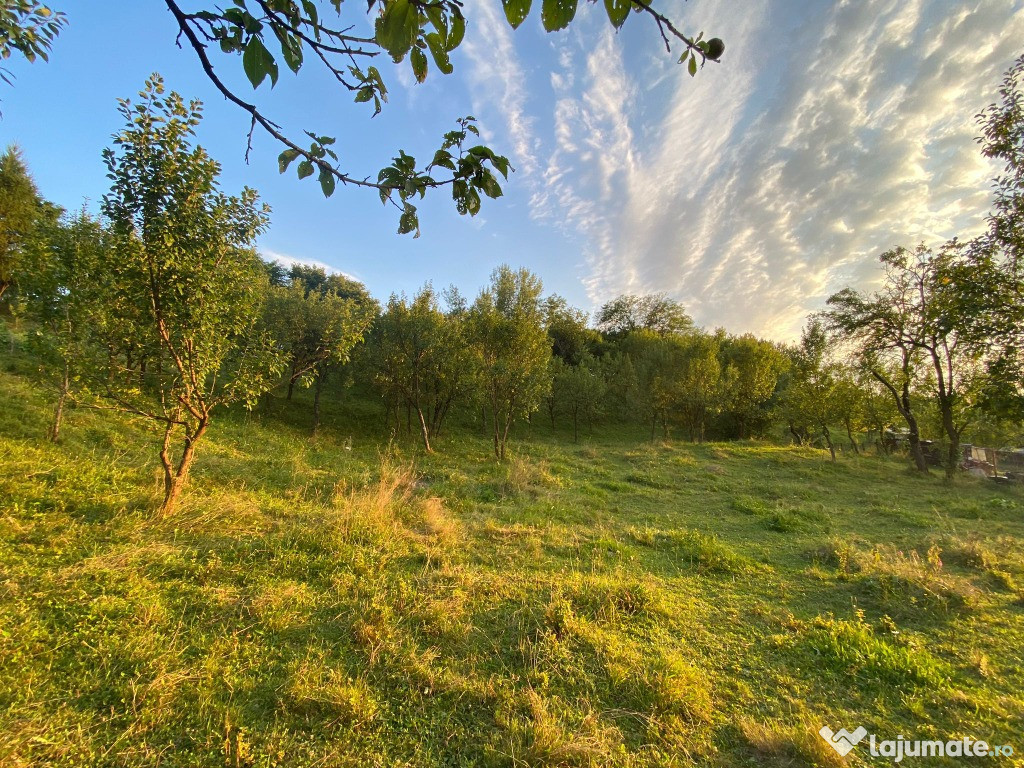 Teren de vanzare in Bughea de jos, Arges