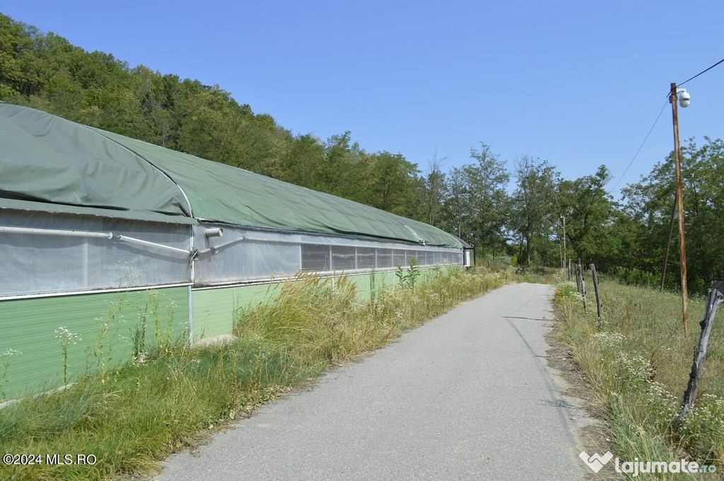 Bogati - Glimbocel, ferma zoo, cladiri autorizate DSV, te...