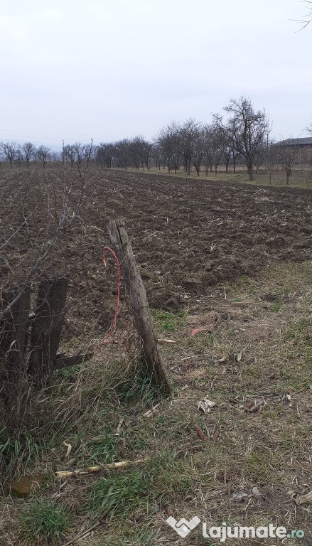 Vând teren intravilan în comuna Blandiana, 1200 mp