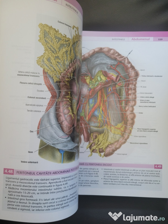 Vand atlas de anatomie Grant editia 14,editura All