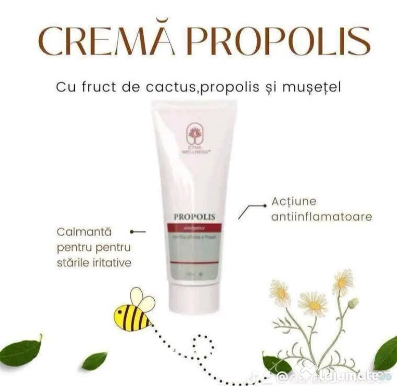 Crema propolis cu fructe