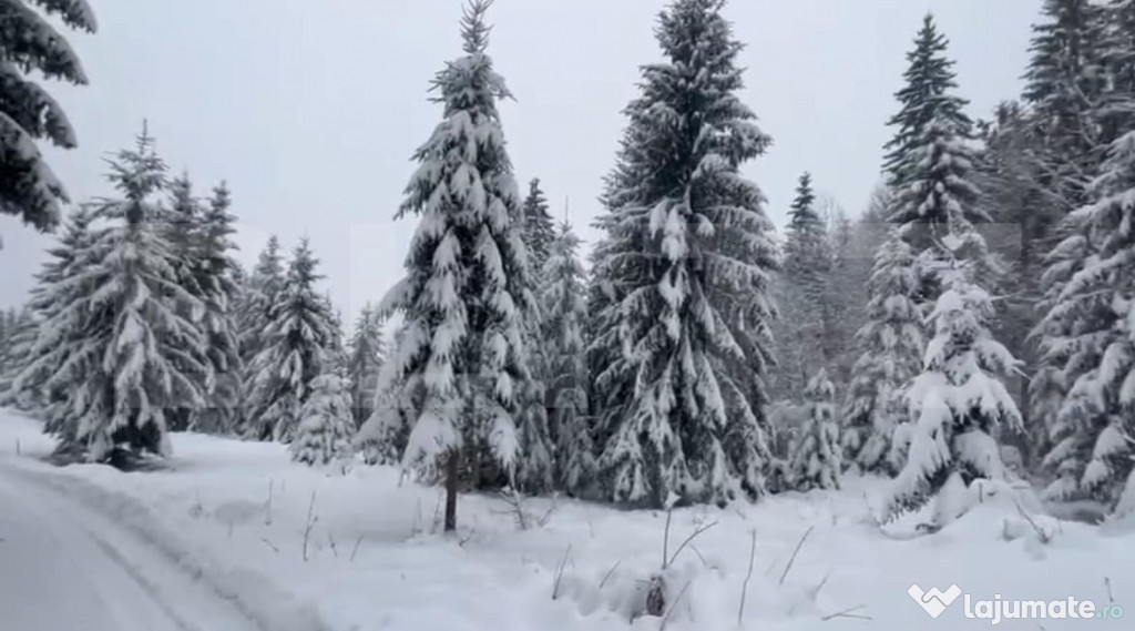 Teren 500mp intravilan Colibita, cu utilitati