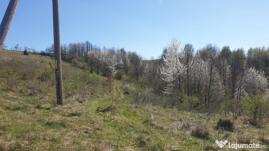 Teren cu panoramă fabuloasă, 10.059 mp, Roșia. 25.000 ...