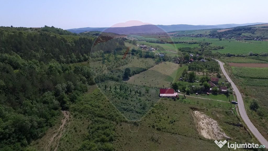 Teren Luna de Jos | Strada Principala