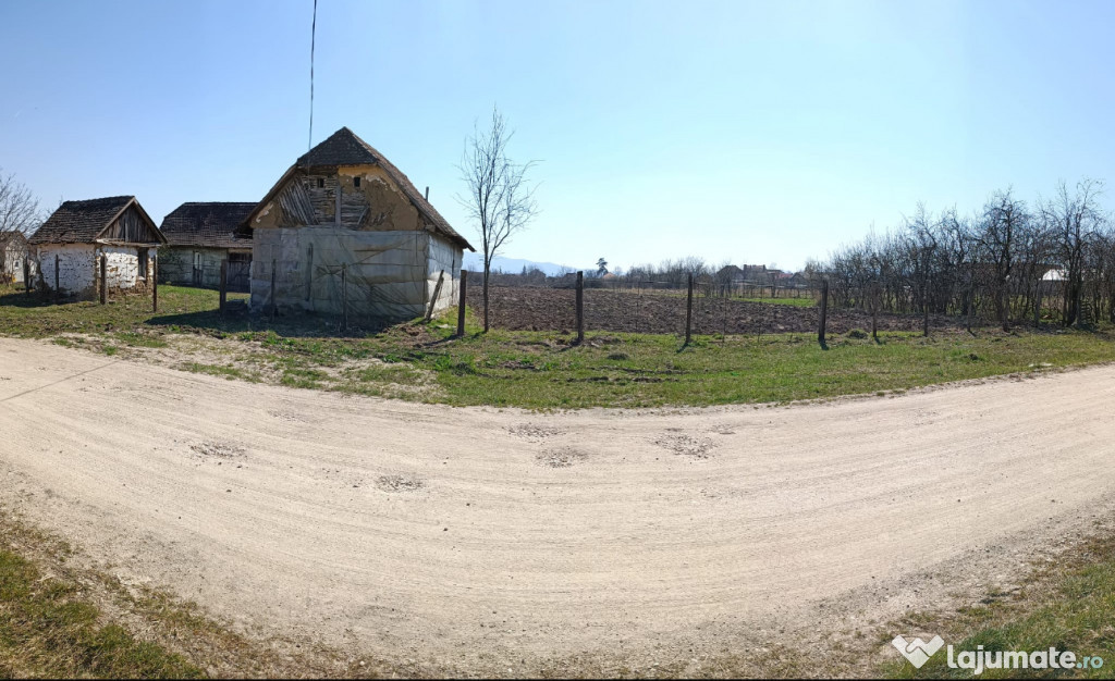 Teren intravilan cu casă. 6150mp Tarnova, Arad