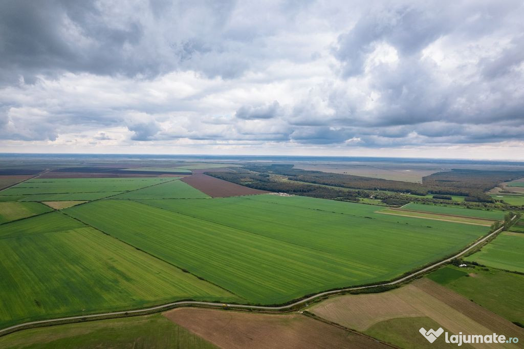 Teren arabil de 985 hectare în Bihor