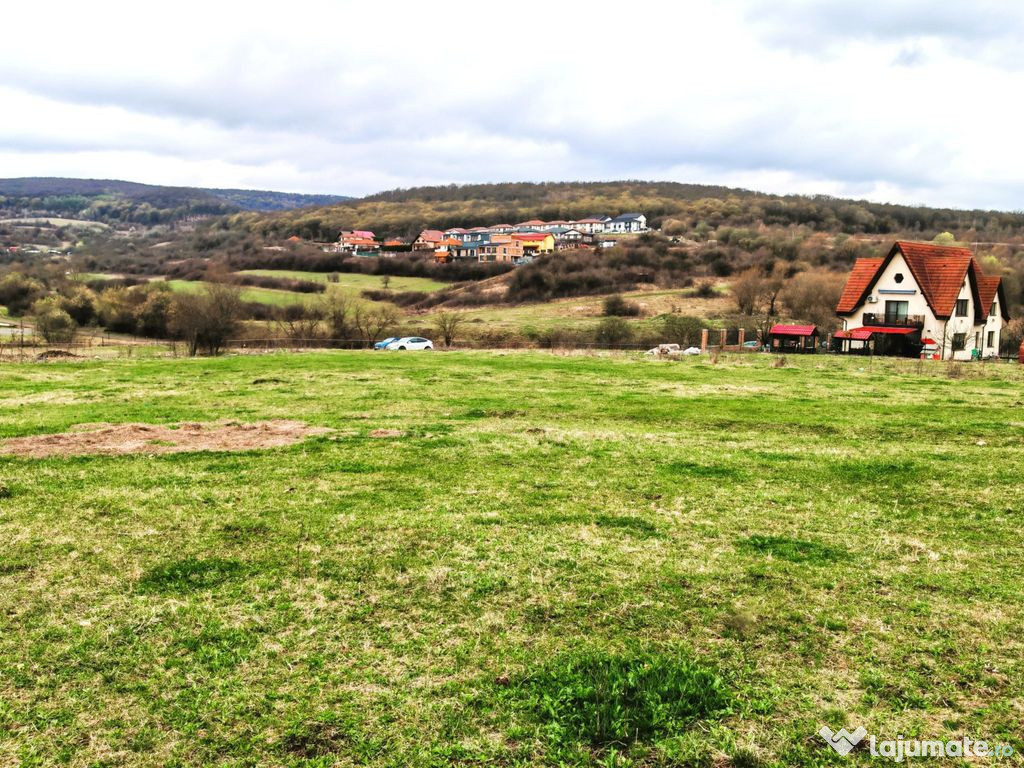 2071 mp TEREN FLORESTI–TAUTI, jud. CLUJ, 1,3 km de viit...