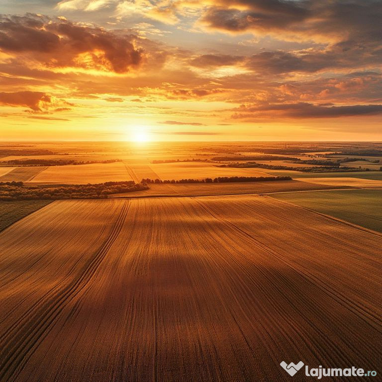 Fermă 1.500 ha – Nord-Est România | Investiție Opera...