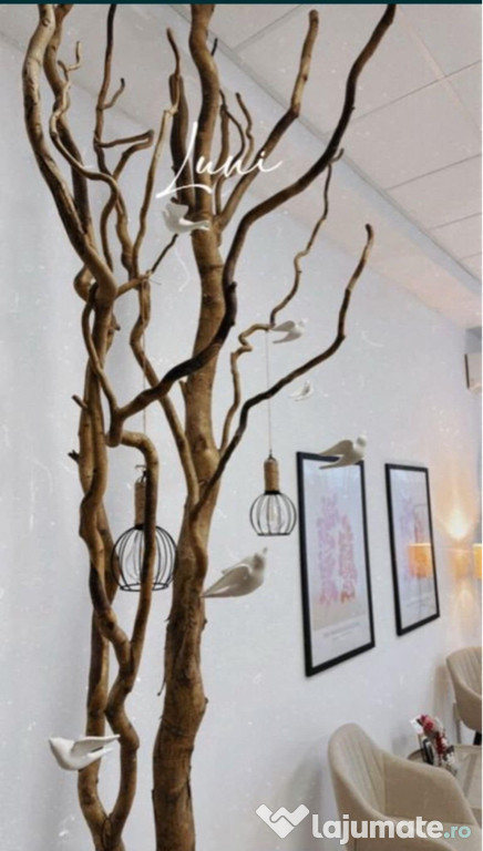 Vand copac ornamental
