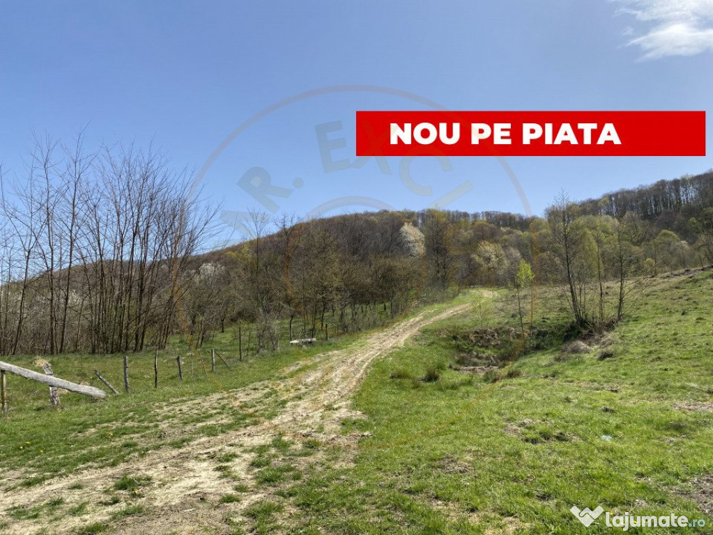 Teren 13.000 mp zona de deal - Aninoasa AG