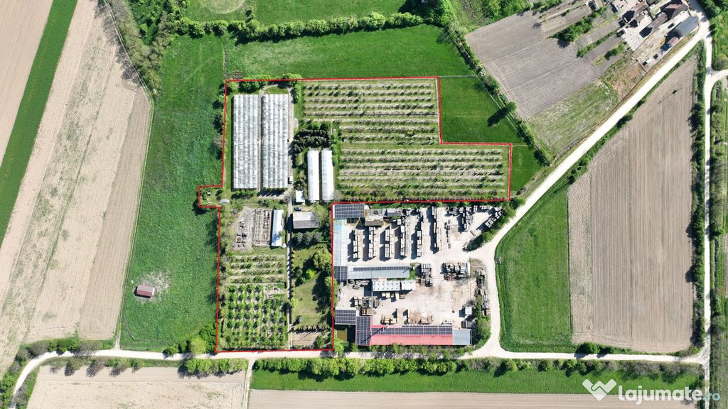 De vanzare Teren 20000MP cu sere/solarii și plantații