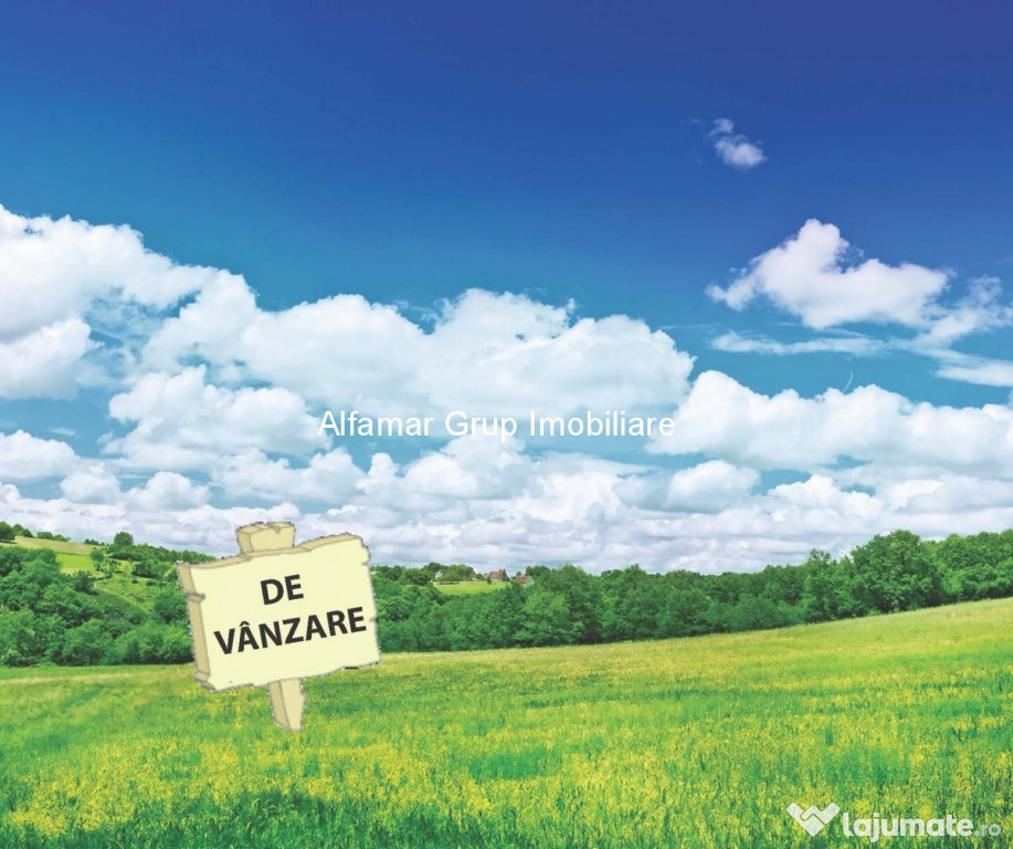Teren extravilan 30.000 mp – Pantelimon zona industri