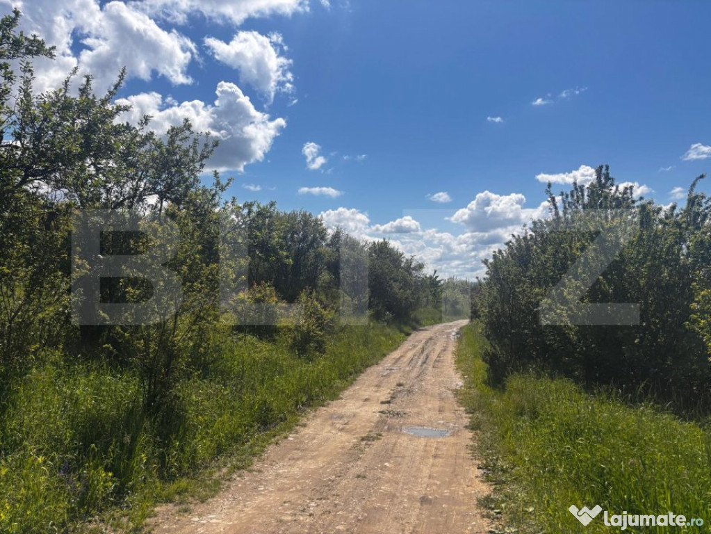 Teren extravilan 2500 mp Valea Sigmirului