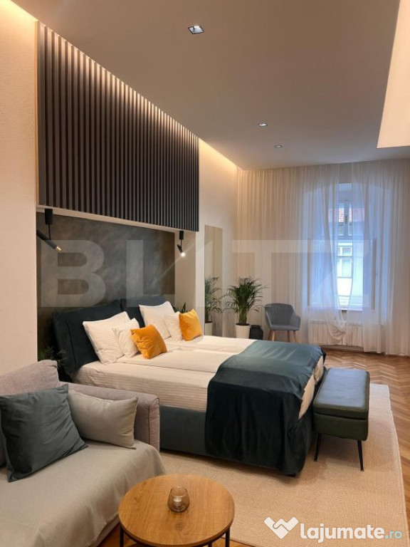 Apartament 1 cameră, Centrul Istoric