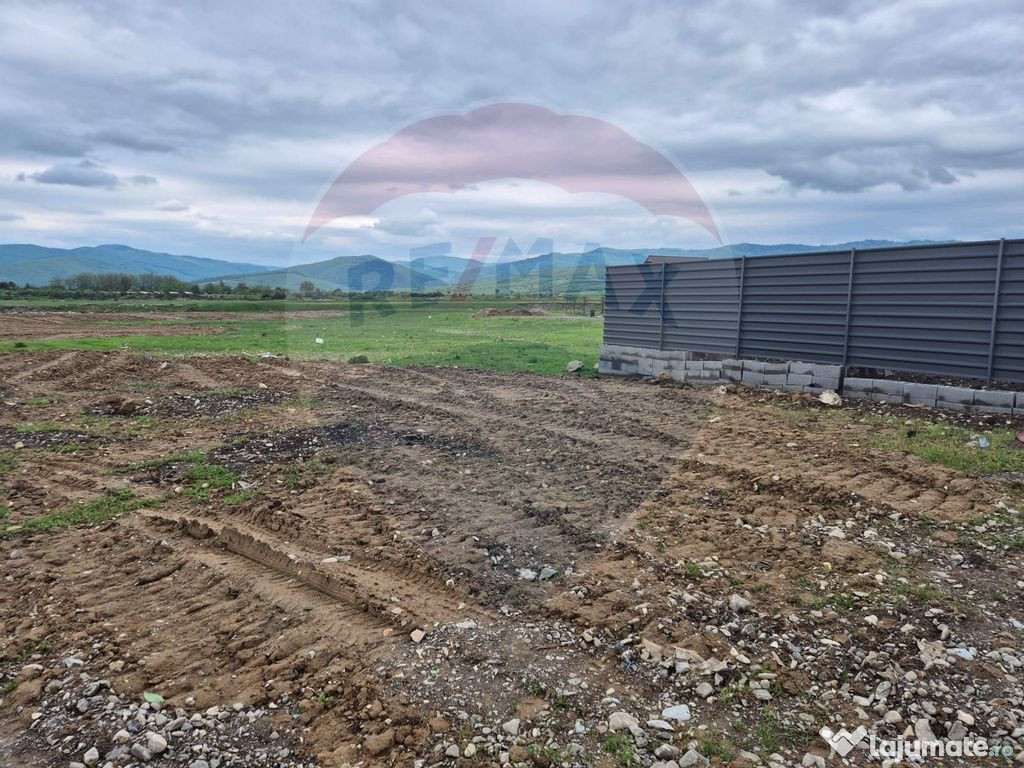 Teren intravilan 1450mp Carpinis / casa locuit