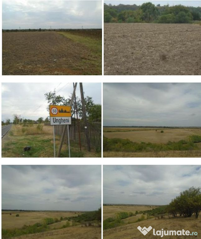 Teren extravilan 5000 mp, Com Ungheni, Jud Arges
