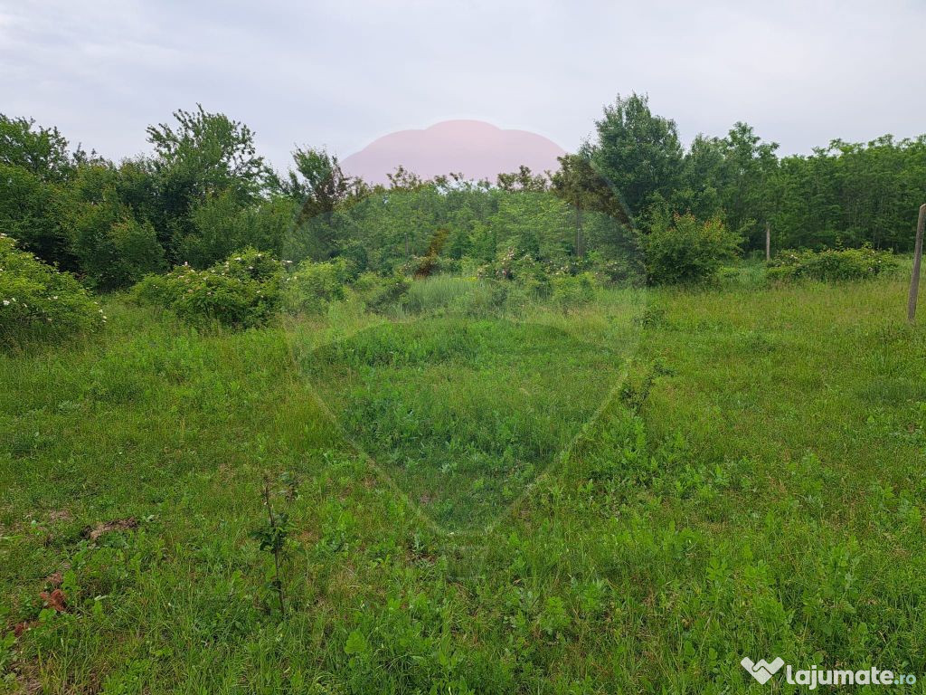 Teren Silistea Snagovului loturi 500 /1000 mp langa padur...