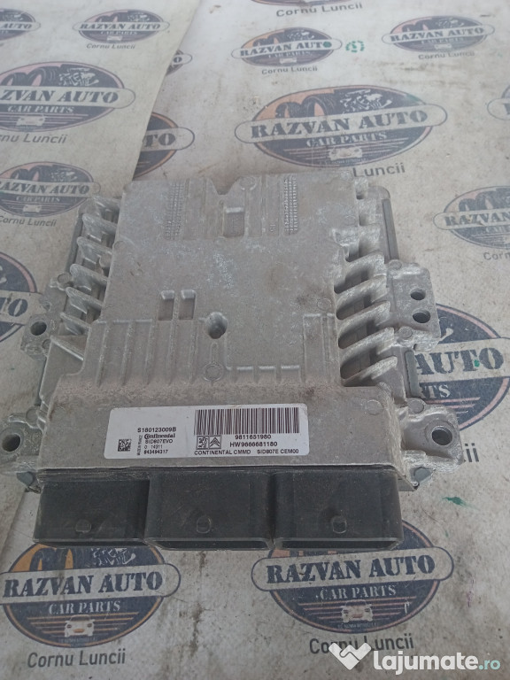 Calculator motor Citroen Picasso 1.6 Motorina