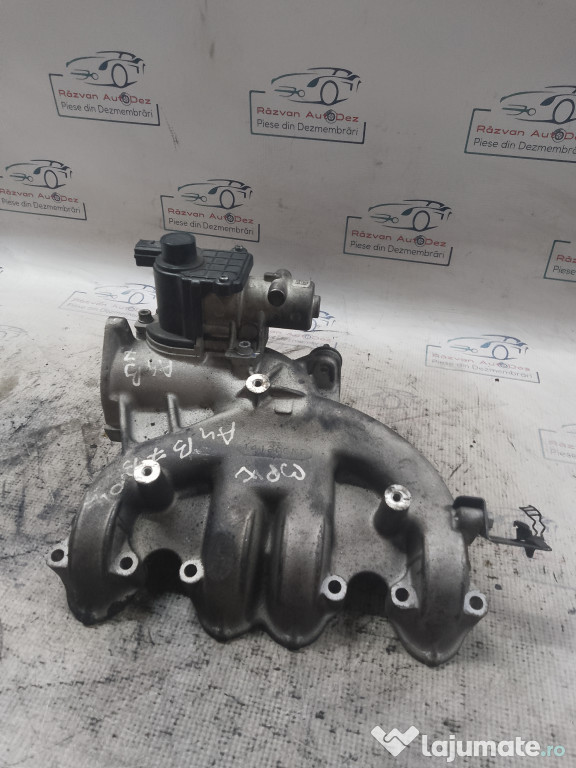 Galerie Admisie Fonta Audi A4 B7 2008