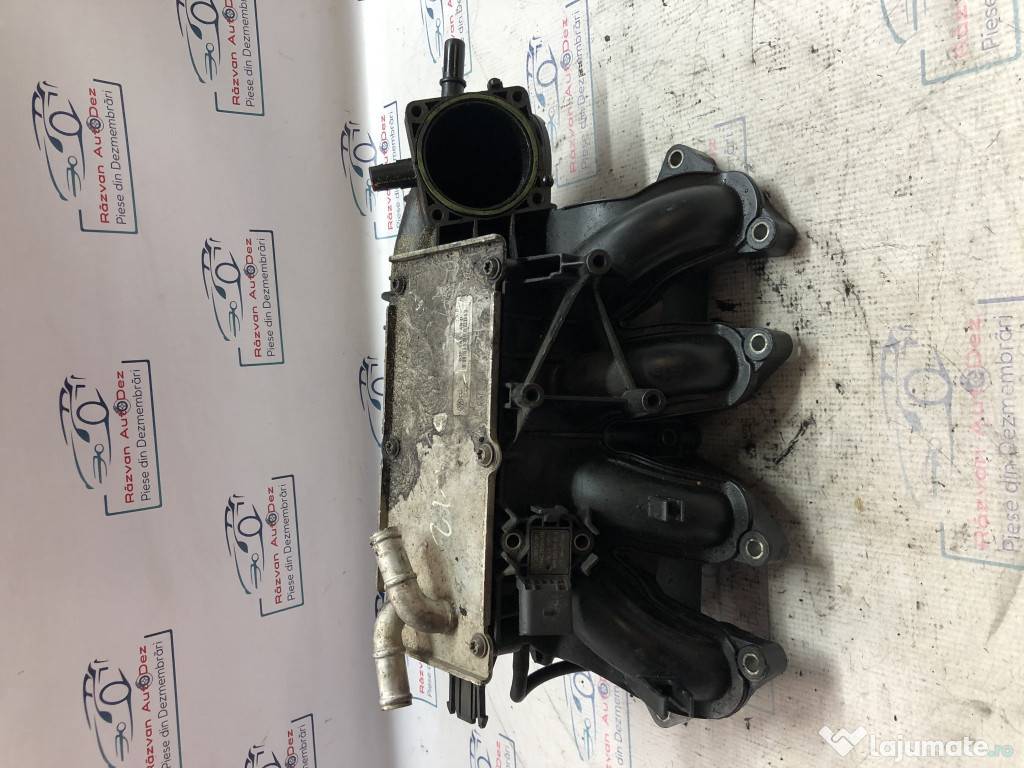 Galerie Admisie Plastic Skoda Fabia 2 1.2 2011