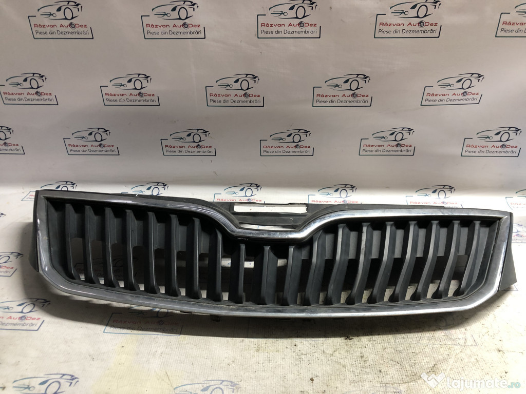 Grila bara fata Skoda RAPID 2013